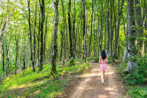 Os Melhores Horários para a Caminhada Diária e seus Benefícios